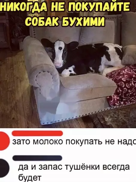 Смешная картинка №491101