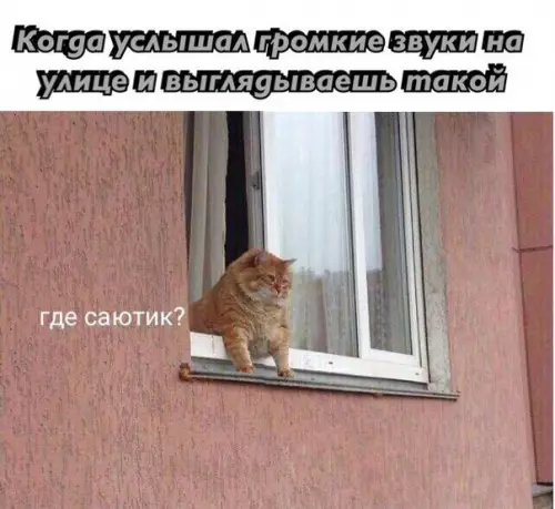 Смешная картинка №229745