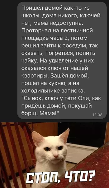 Смешная картинка №526319