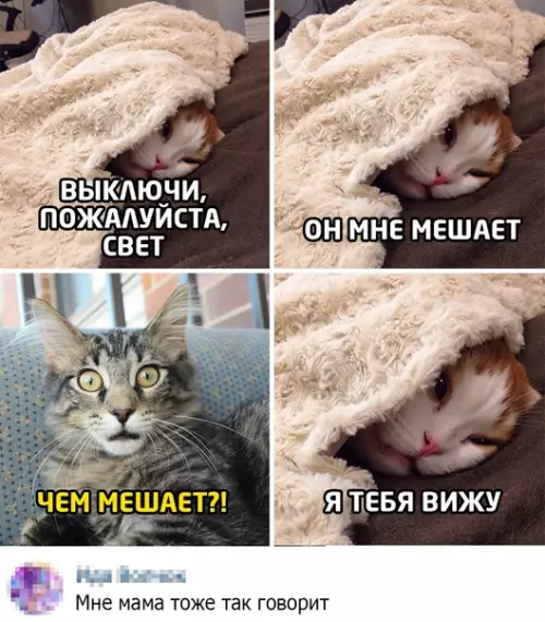 Смешная картинка №546106