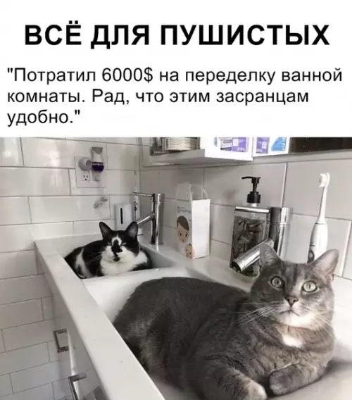 Смешная картинка №348733