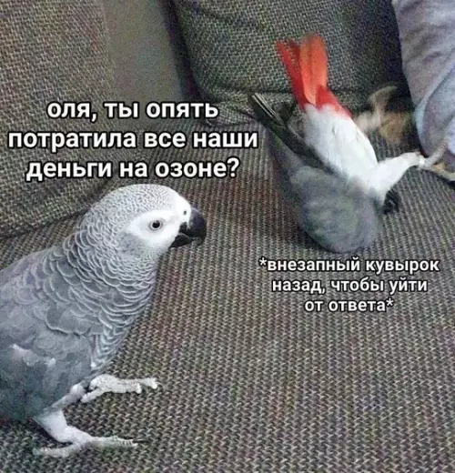 Смешная картинка №772473