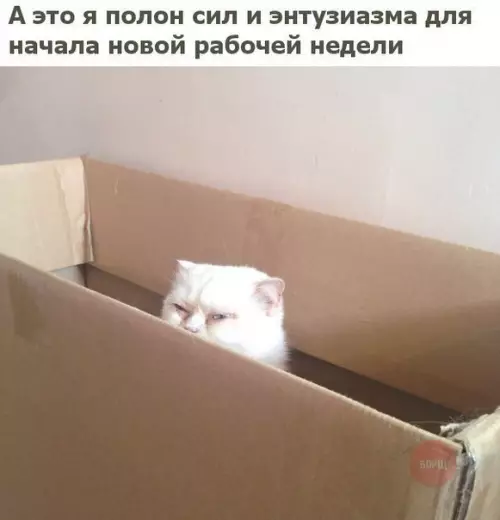 Смешная картинка №214942