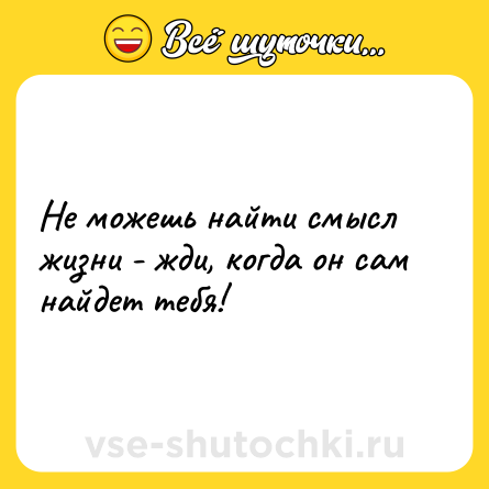 Шутка: Не можешь найти смысл жизни - жди, когда он сам найдет тебя!