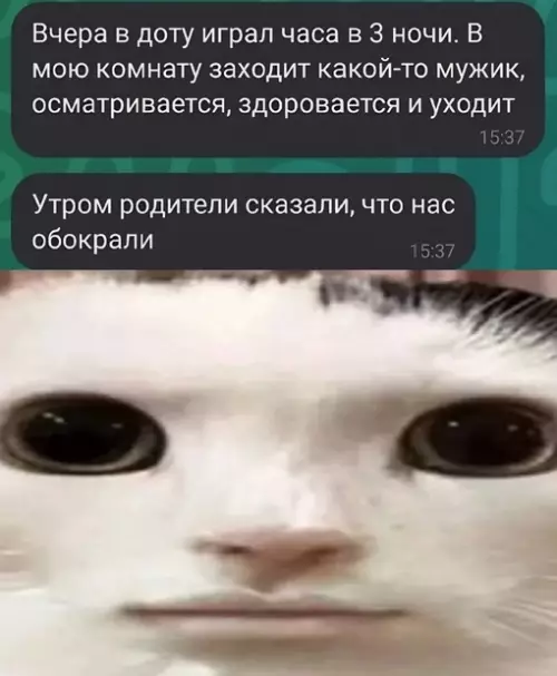 Смешная картинка №696313 Ну хоть компьютер не унесли игры