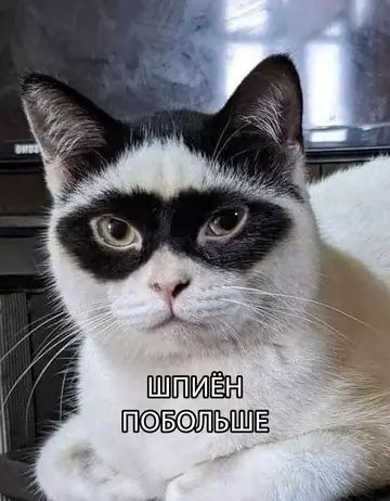 Смешная картинка №758320 Не перепутайте