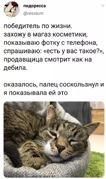 Смешная картинка №348508