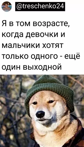Смешная картинка №654798