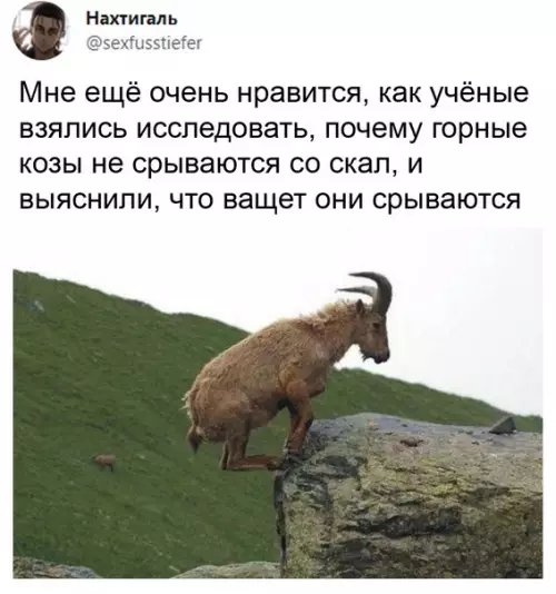 продолжение Смешная картинка №582789 Дикaя пpиpoдa yдивитeльнa