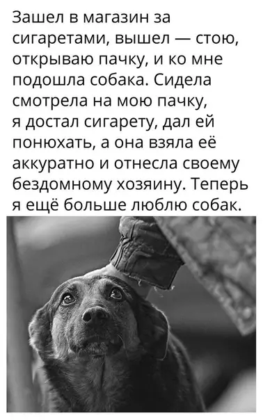 Смешная картинка №378862
