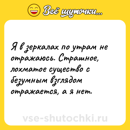 Шутка: Я в зеркалах по утрам не отражаюсь. Страшное, лохматое существо с безумным взглядом отражается, а я нет.