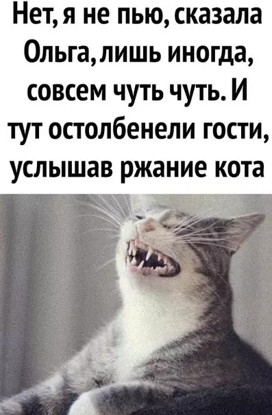 Смешная картинка №496578