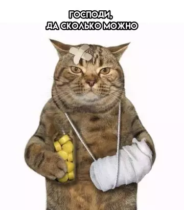 продолжение Смешная картинка №767688