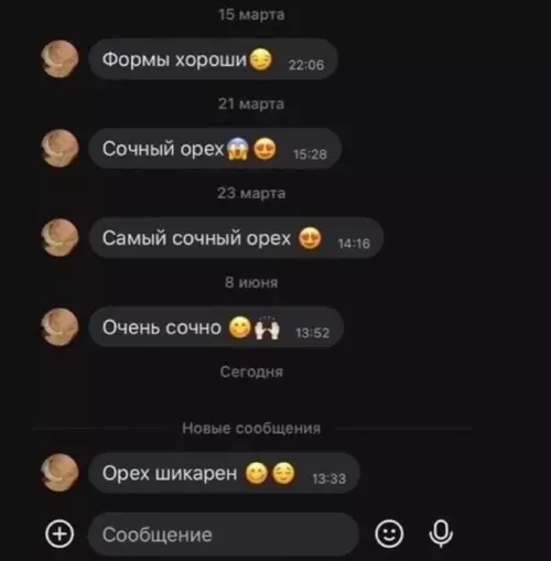 Смешная картинка №732195 Белка пишет видимо  Переписка