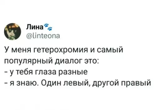 Смешной диалог о глазах - У меня гетерохромия и самый популярный диалог это: - у