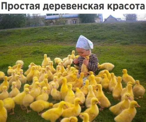 Смешная картинка №232590