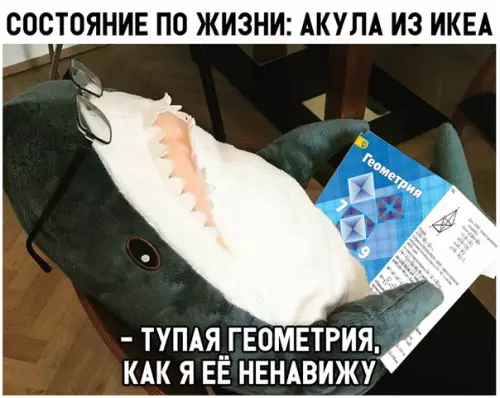 Смешная картинка №312010