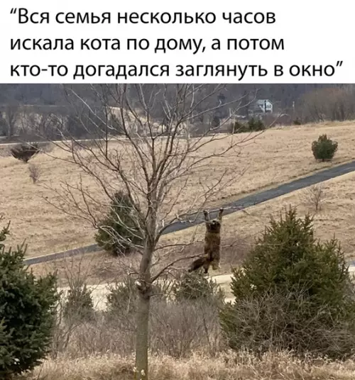 Смешная картинка №478914