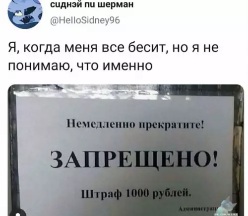 Смешная картинка №397685