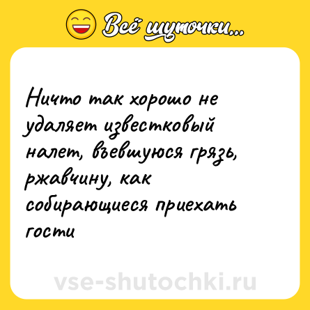 Шутка: Ничто так хорошо не удаляет известковый налет, въевшуюся грязь, ржавчину, как собирающиеся приехать гости
