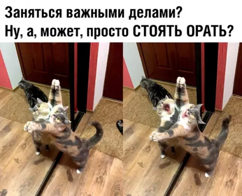 Смешная картинка №372924