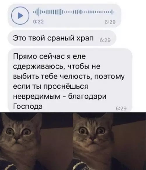 Смешная картинка №667608 Храп