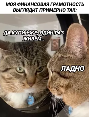 Смешная картинка №743595