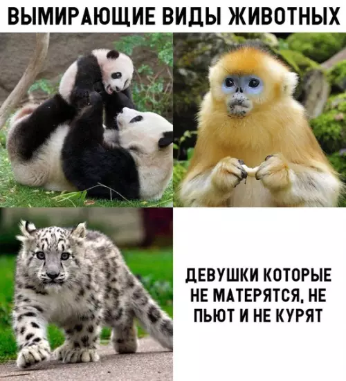 Смешная картинка №300517