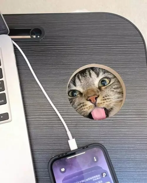 продолжение Смешная картинка №807950 В сети выяснили, для чего отверстия в столах нужны на самом деле