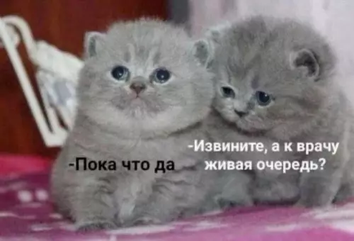 Смешная картинка №781353