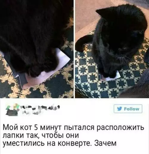 Смешная картинка №234251