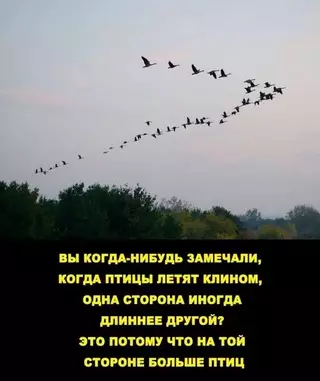 Смешная картинка №651551