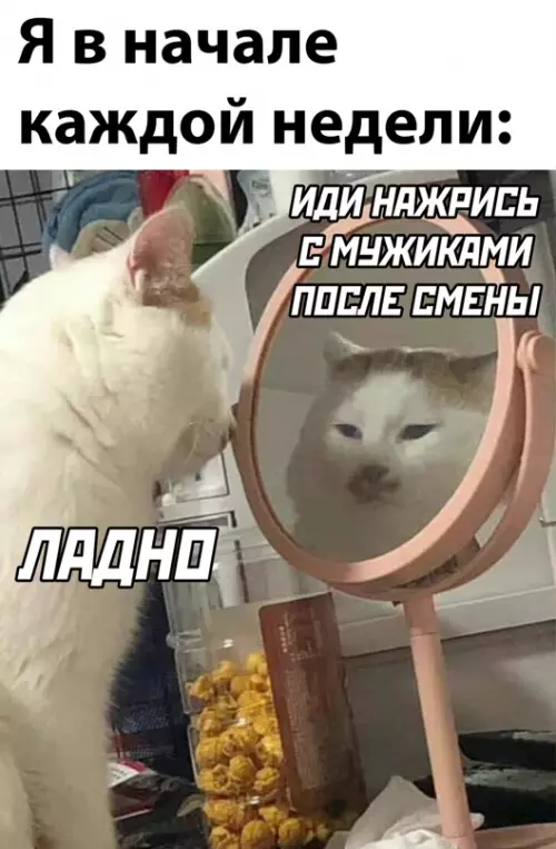 Смешная картинка №648192
