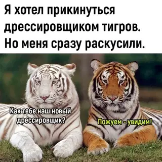 Смешная картинка №681863