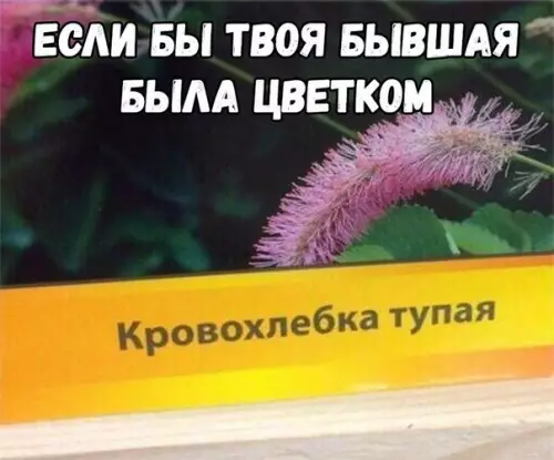 Смешная картинка №278035