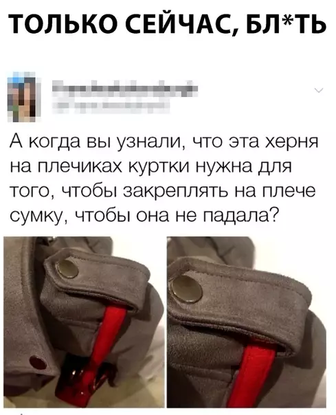 Смешная картинка №312046