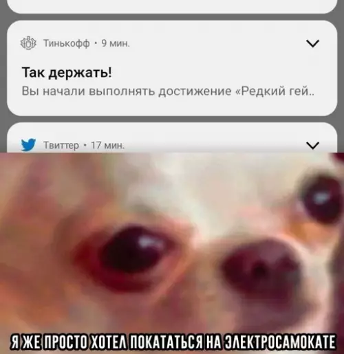 Смешная картинка №700618 Тогда не такой уж и редкий