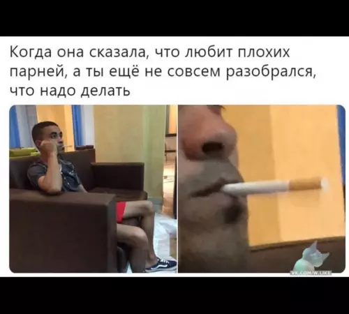 Смешная картинка №367387