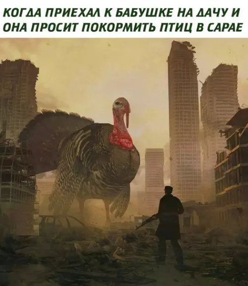 Смешная картинка №267271