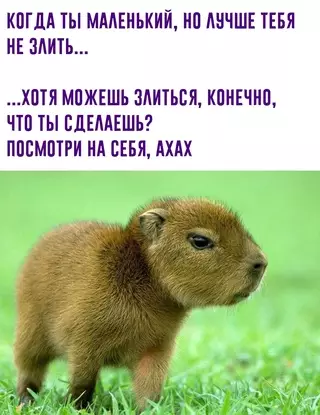 Смешная картинка №655537