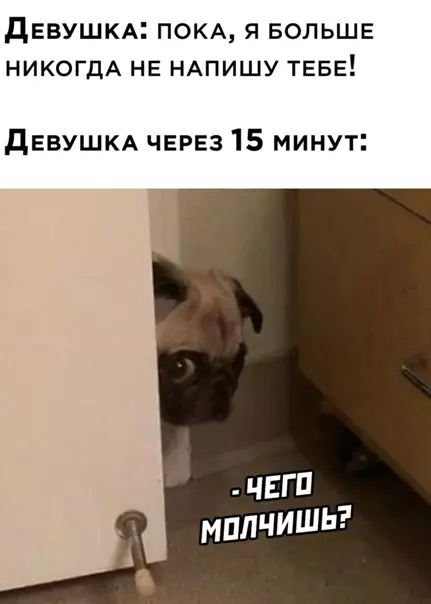 Смешная картинка №546499