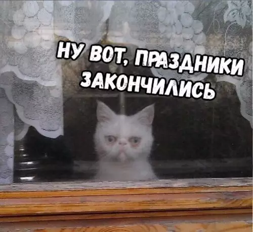 Смешная картинка №323744