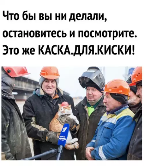 Смешная картинка №275708