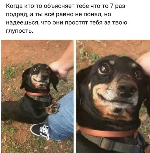 Смешная картинка №228877