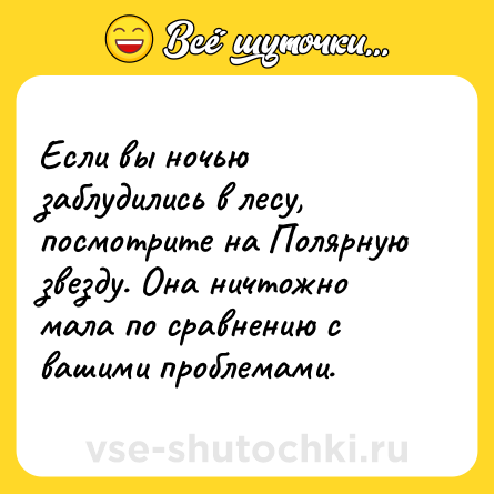 Шутка: Если вы ночью заблудились в лесу, посмотрите на Полярную звезду. Она ничтожно мала по сравнению с вашими проблемами.