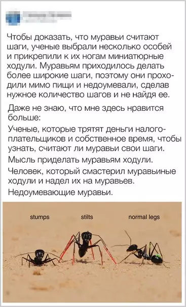 Смешная картинка №449876 любопытные учёные и муравьи на ходулях