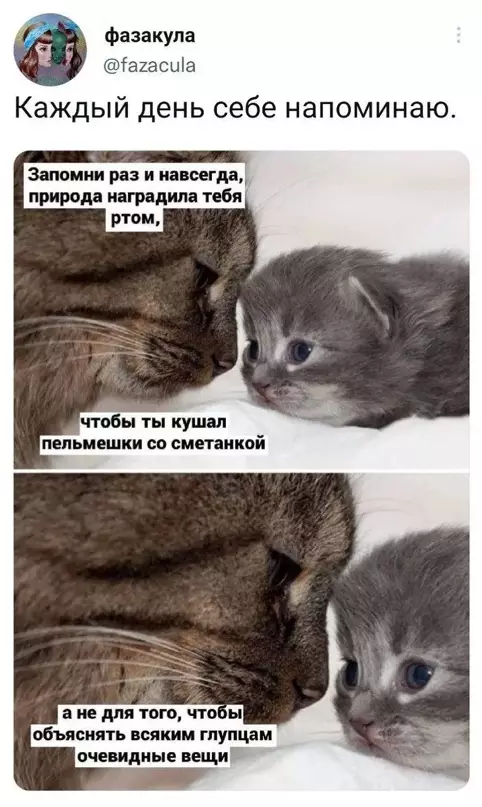 Смешная картинка №648525