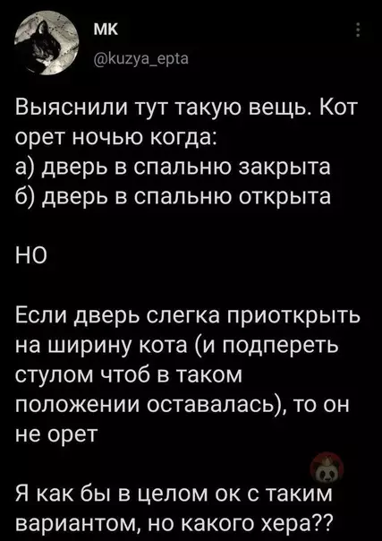 Смешная картинка №569791 Очень странные они, согласны?