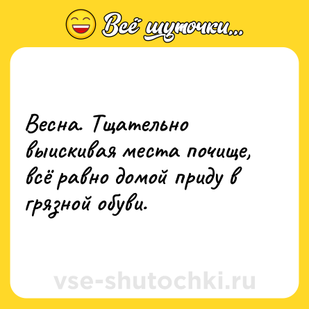 Шутка: Весна. Тщательно выискивая места почище, всё равно домой приду в грязной обуви.