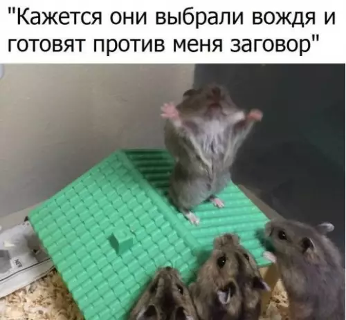Смешная картинка №392565